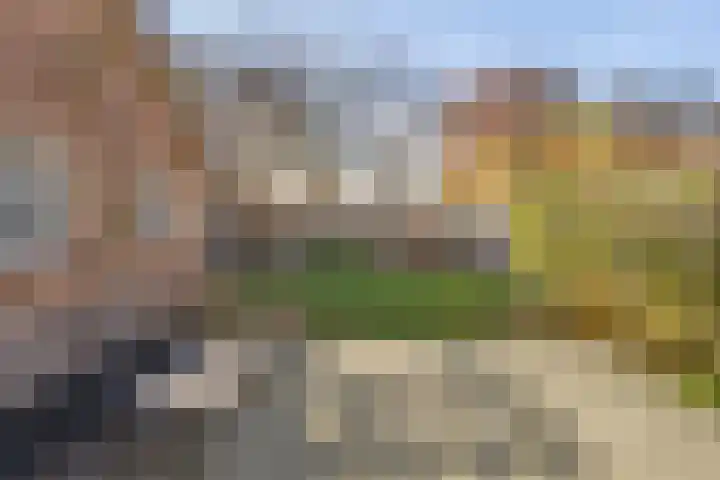 Lage Made 7 Oudenbosch thumbnail 34