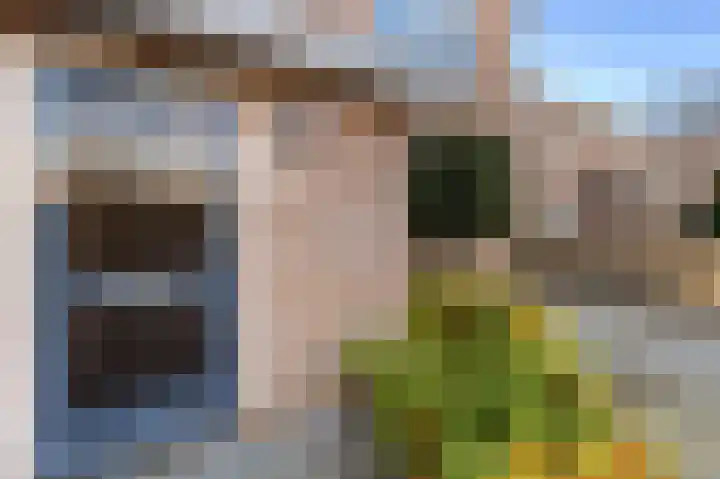 Lage Made 7 Oudenbosch thumbnail 39