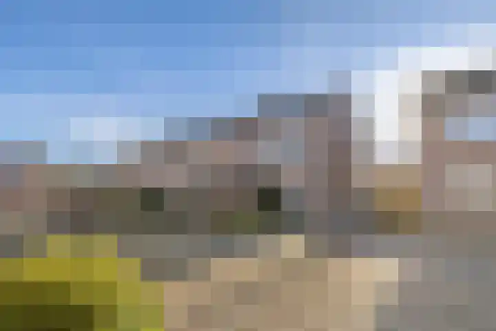 Lage Made 7 Oudenbosch thumbnail 42