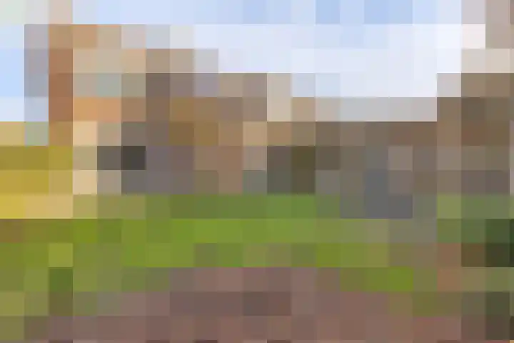 Lage Made 7 Oudenbosch thumbnail 5
