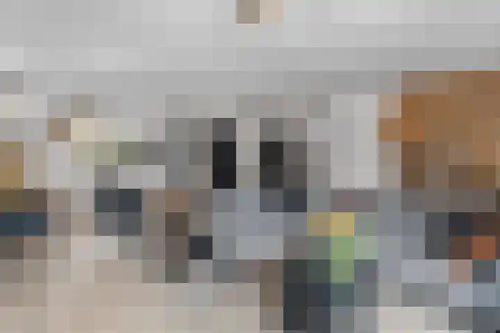 Lage Made 7 Oudenbosch thumbnail 6