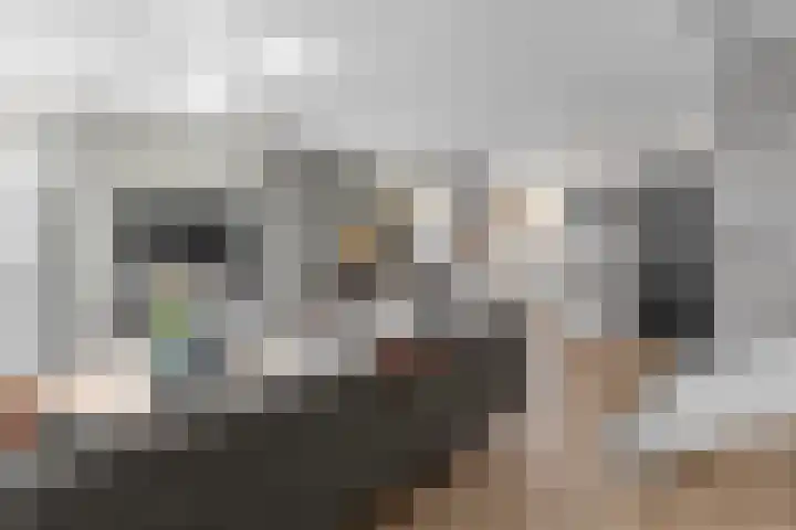 Lage Made 7 Oudenbosch thumbnail 7