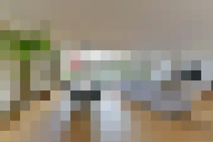 Lage Maten 5 Hoogland thumbnail 19