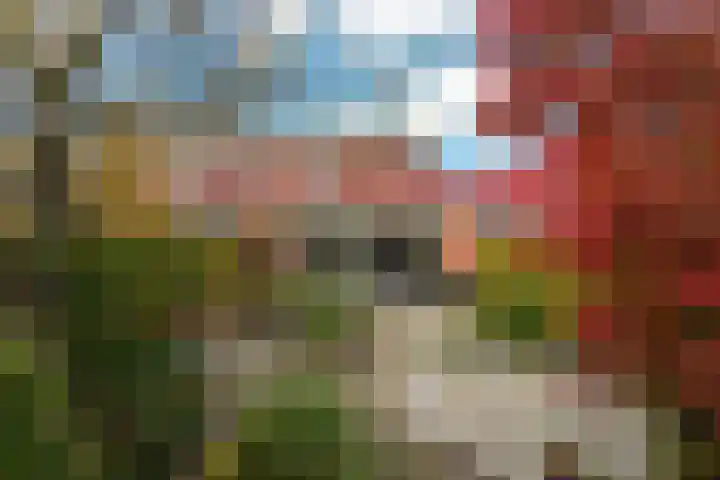 Lage Maten 5 Hoogland thumbnail 25