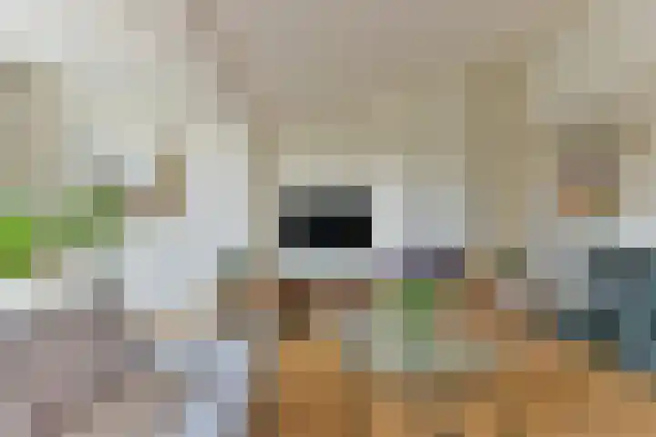 Lage Maten 5 Hoogland thumbnail 6