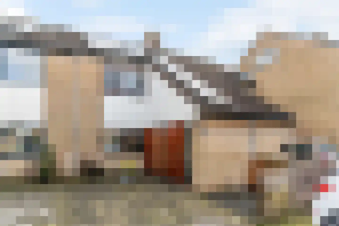 Lage Molen 4 Papendrecht
