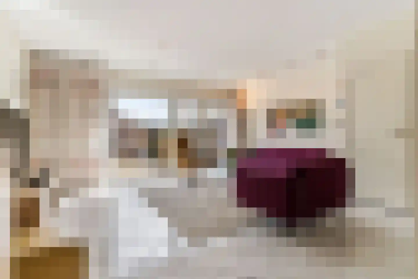Lage Molen 4 Papendrecht thumbnail 10