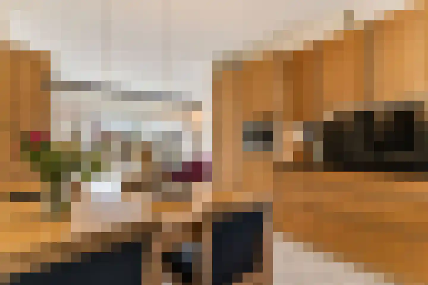 Lage Molen 4 Papendrecht thumbnail 14