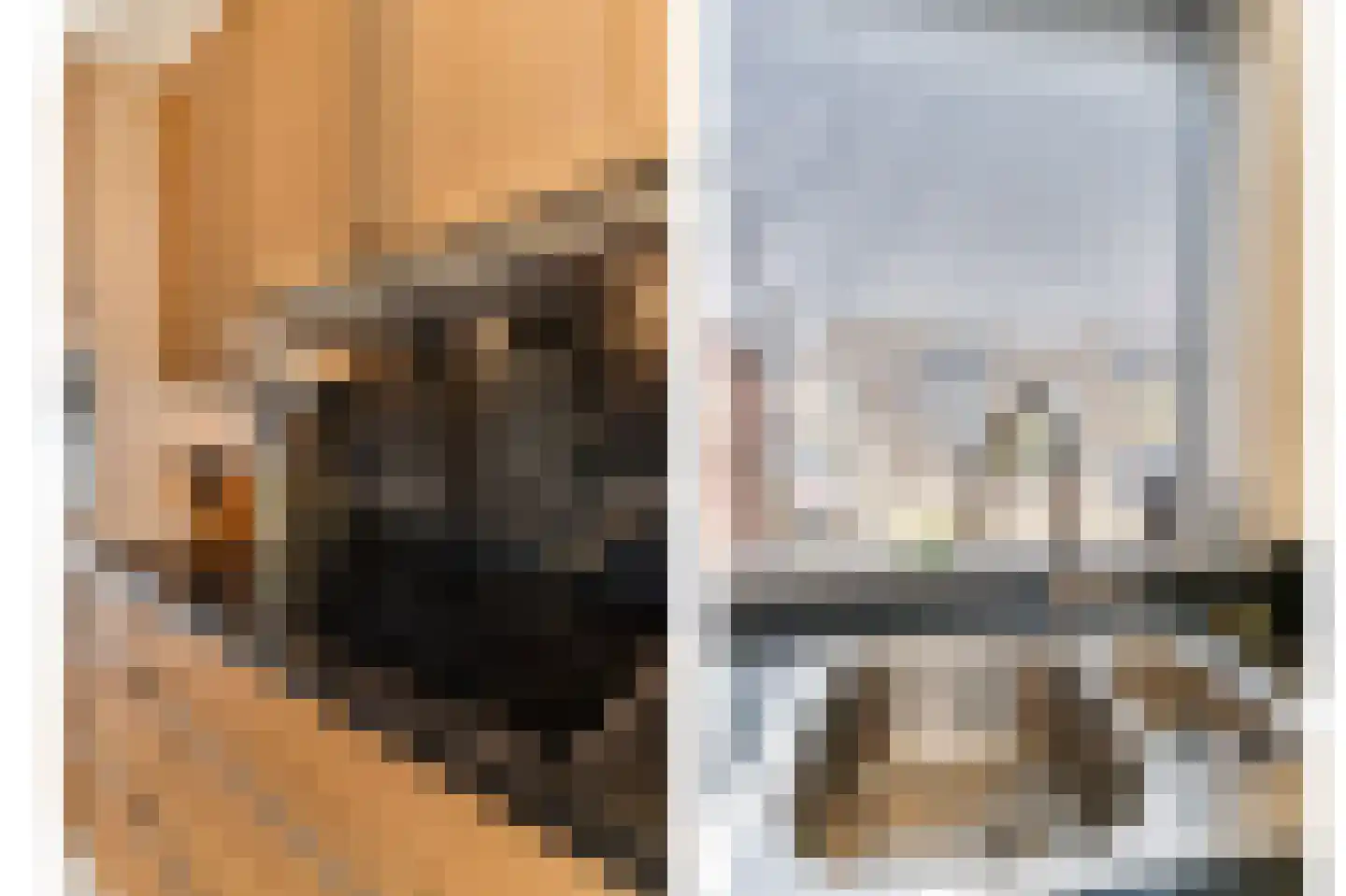 Lage Molen 4 Papendrecht thumbnail 16
