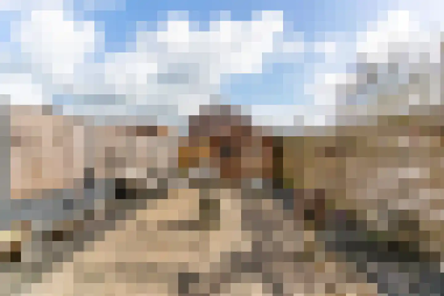 Lage Molen 4 Papendrecht thumbnail 17