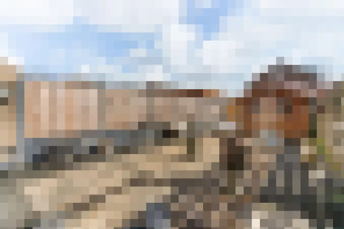 Lage Molen 4 Papendrecht thumbnail 18