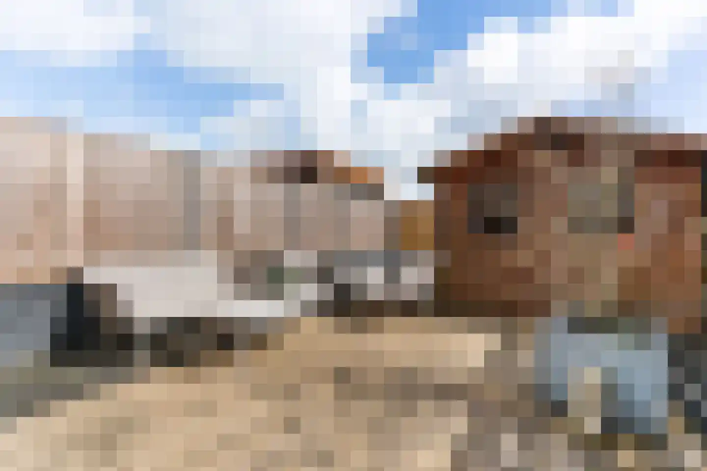 Lage Molen 4 Papendrecht thumbnail 19