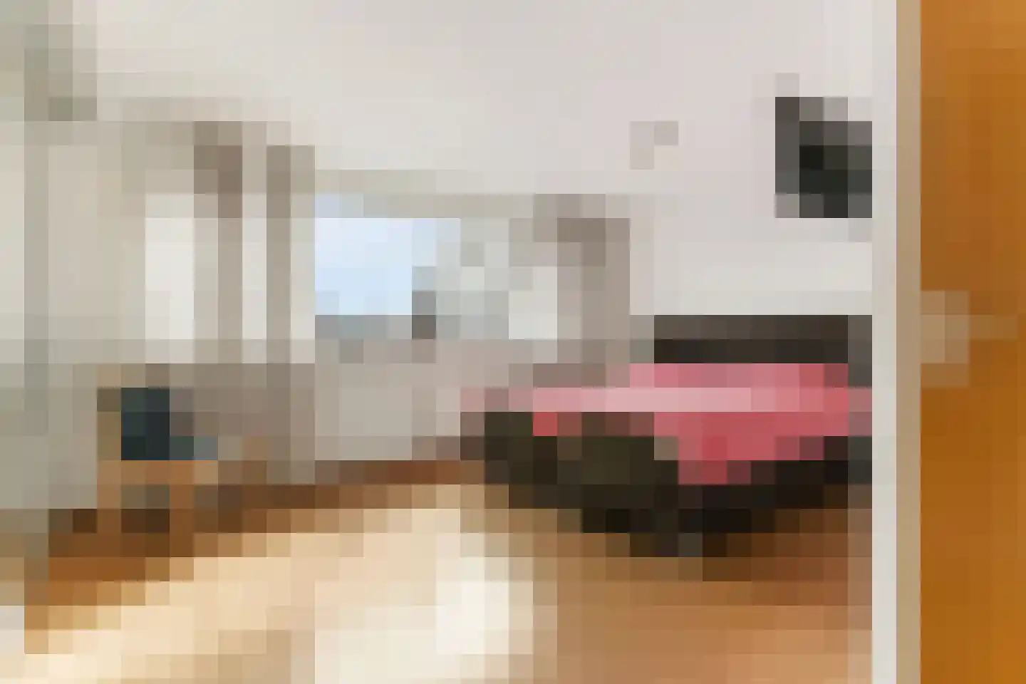 Lage Molen 4 Papendrecht thumbnail 23