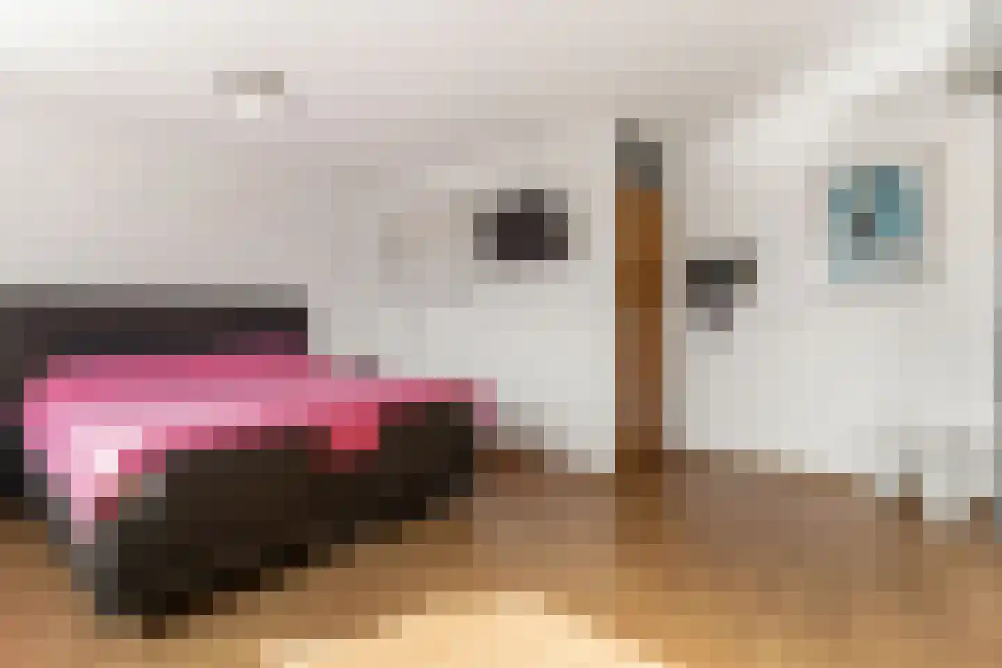 Lage Molen 4 Papendrecht thumbnail 24