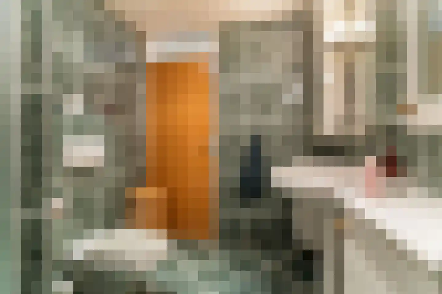 Lage Molen 4 Papendrecht thumbnail 29