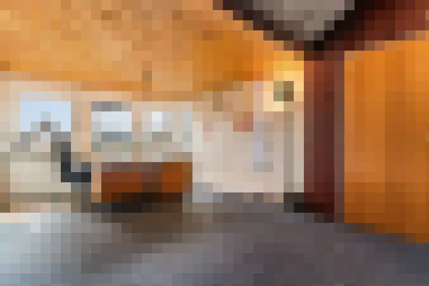 Lage Molen 4 Papendrecht thumbnail 31