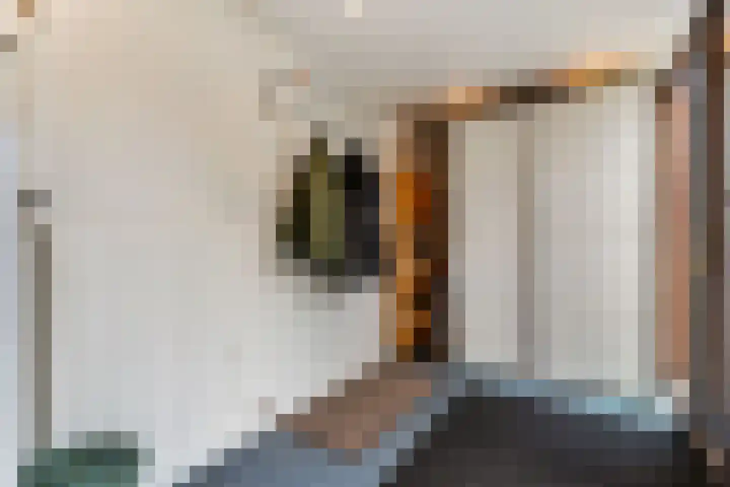 Lage Molen 4 Papendrecht thumbnail 33
