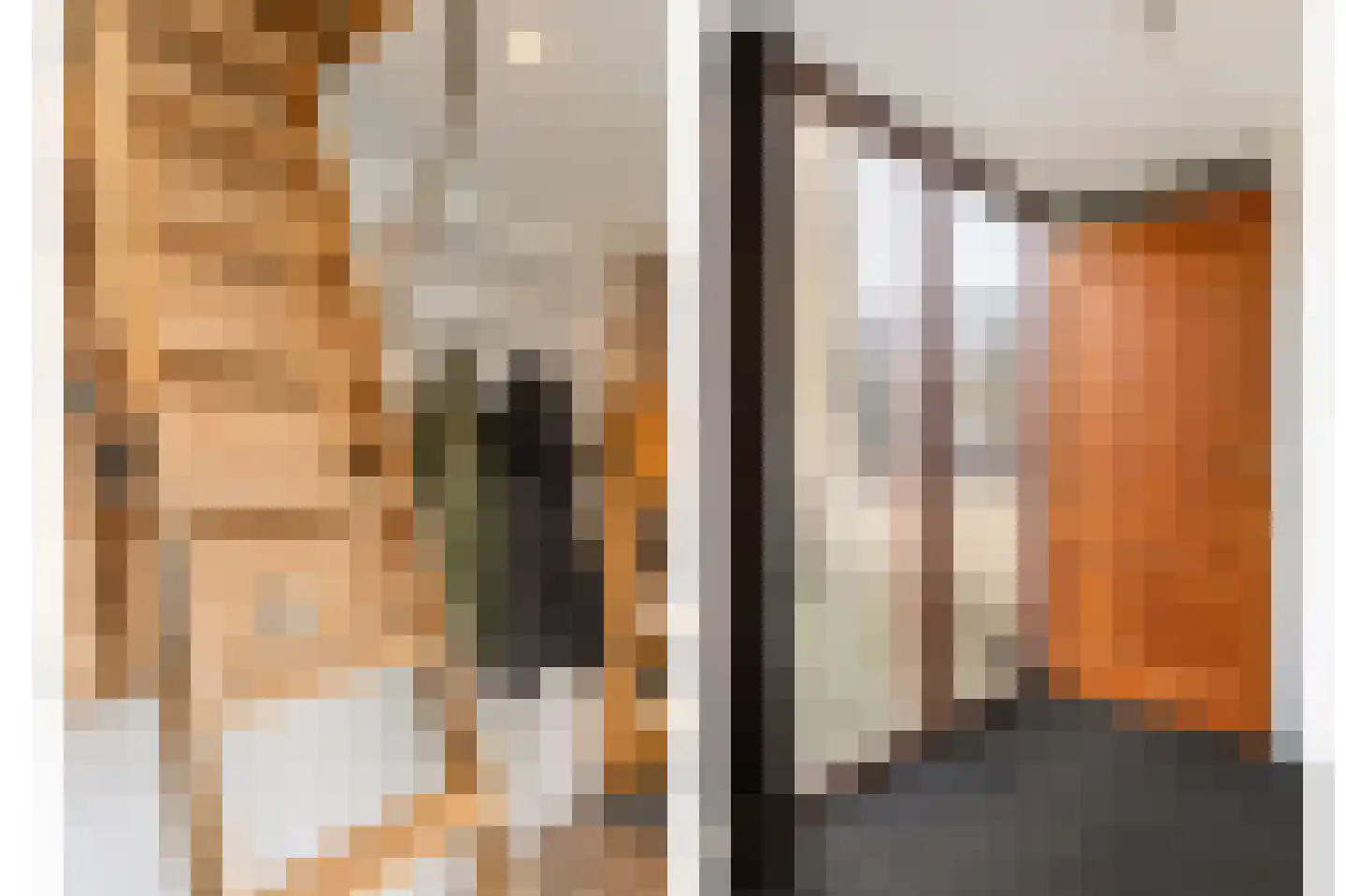 Lage Molen 4 Papendrecht thumbnail 35