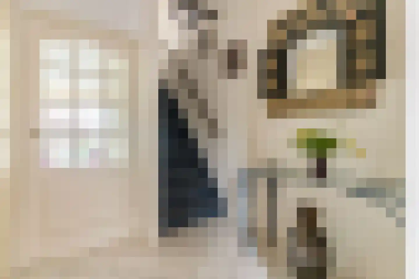 Lage Molen 4 Papendrecht thumbnail 6