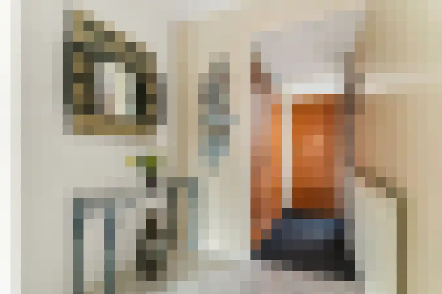 Lage Molen 4 Papendrecht thumbnail 7