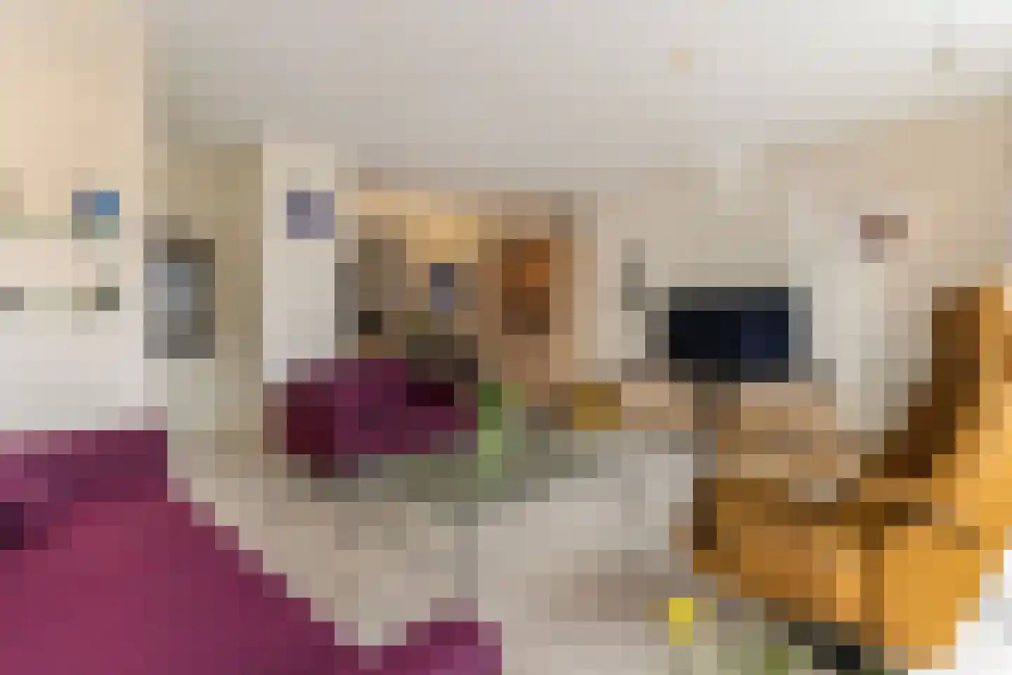 Lage Molen 4 Papendrecht thumbnail 8