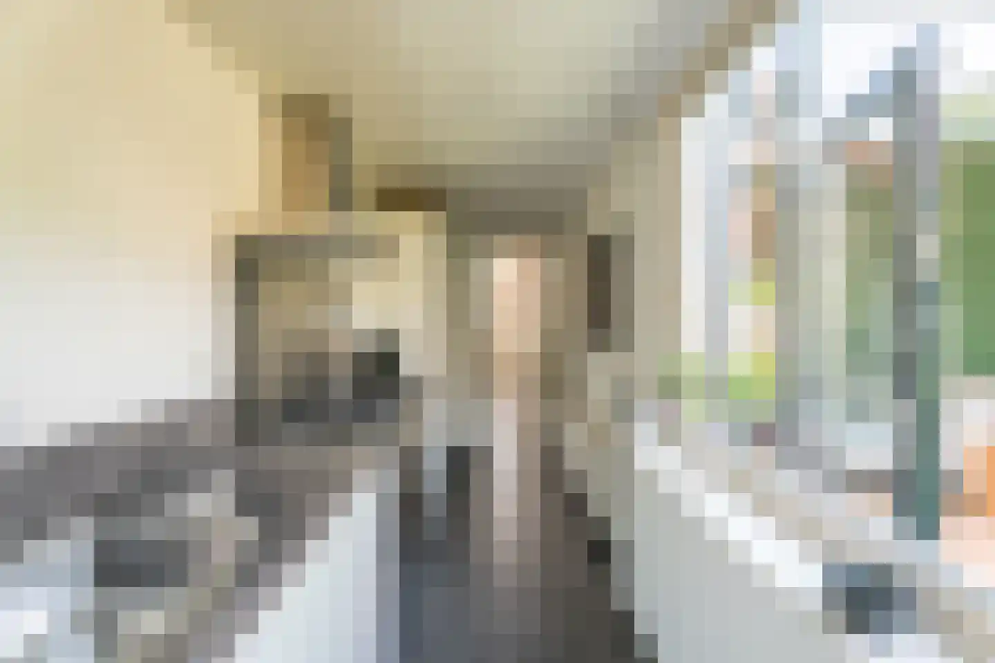 Lage Morsweg 15 Leiden thumbnail 10