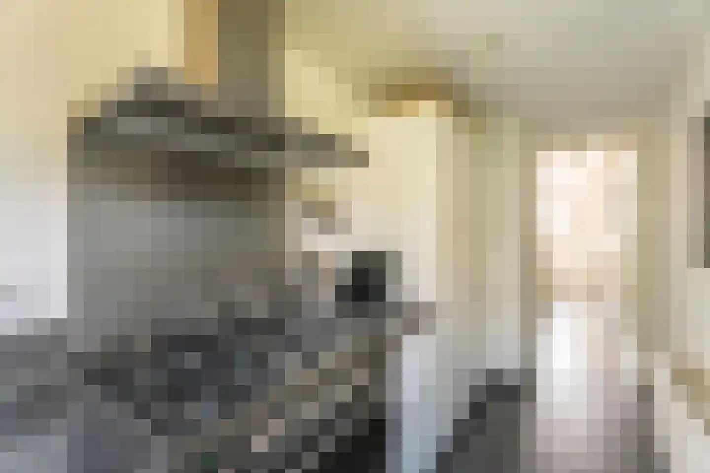 Lage Morsweg 15 Leiden thumbnail 11