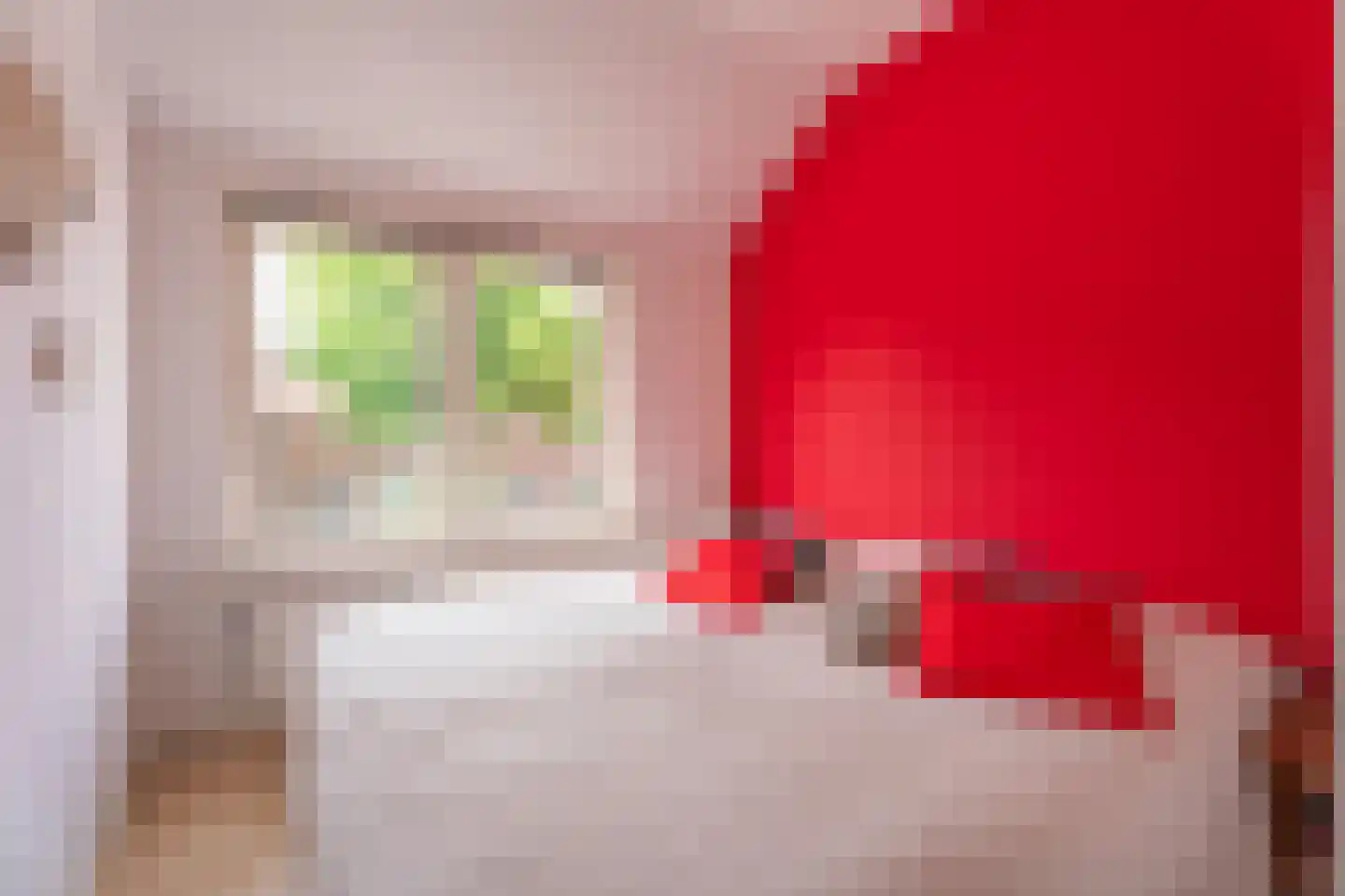 Lage Morsweg 15 Leiden thumbnail 17