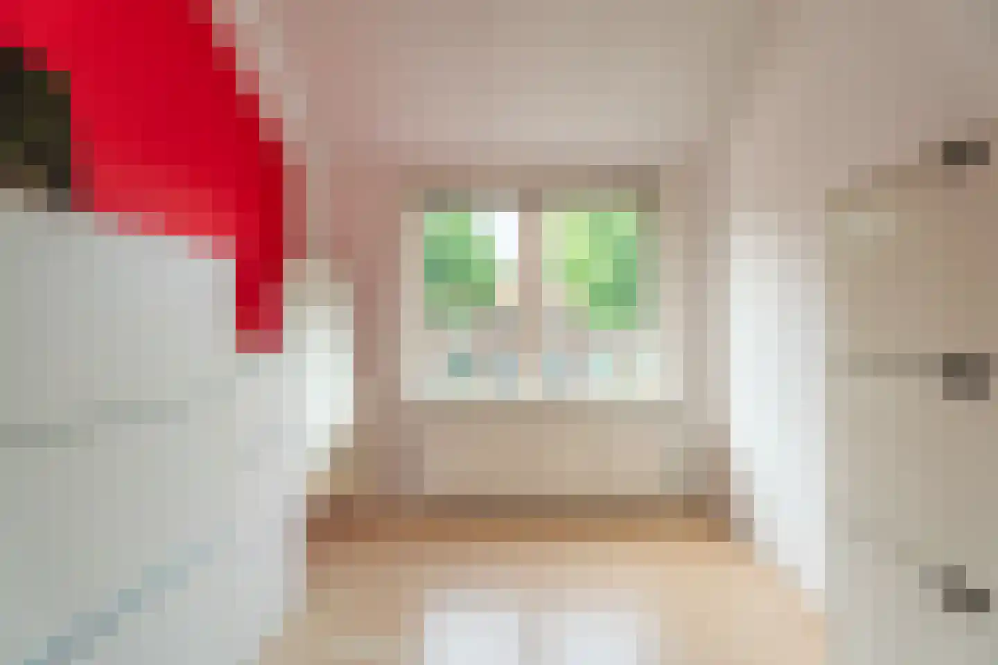 Lage Morsweg 15 Leiden thumbnail 19