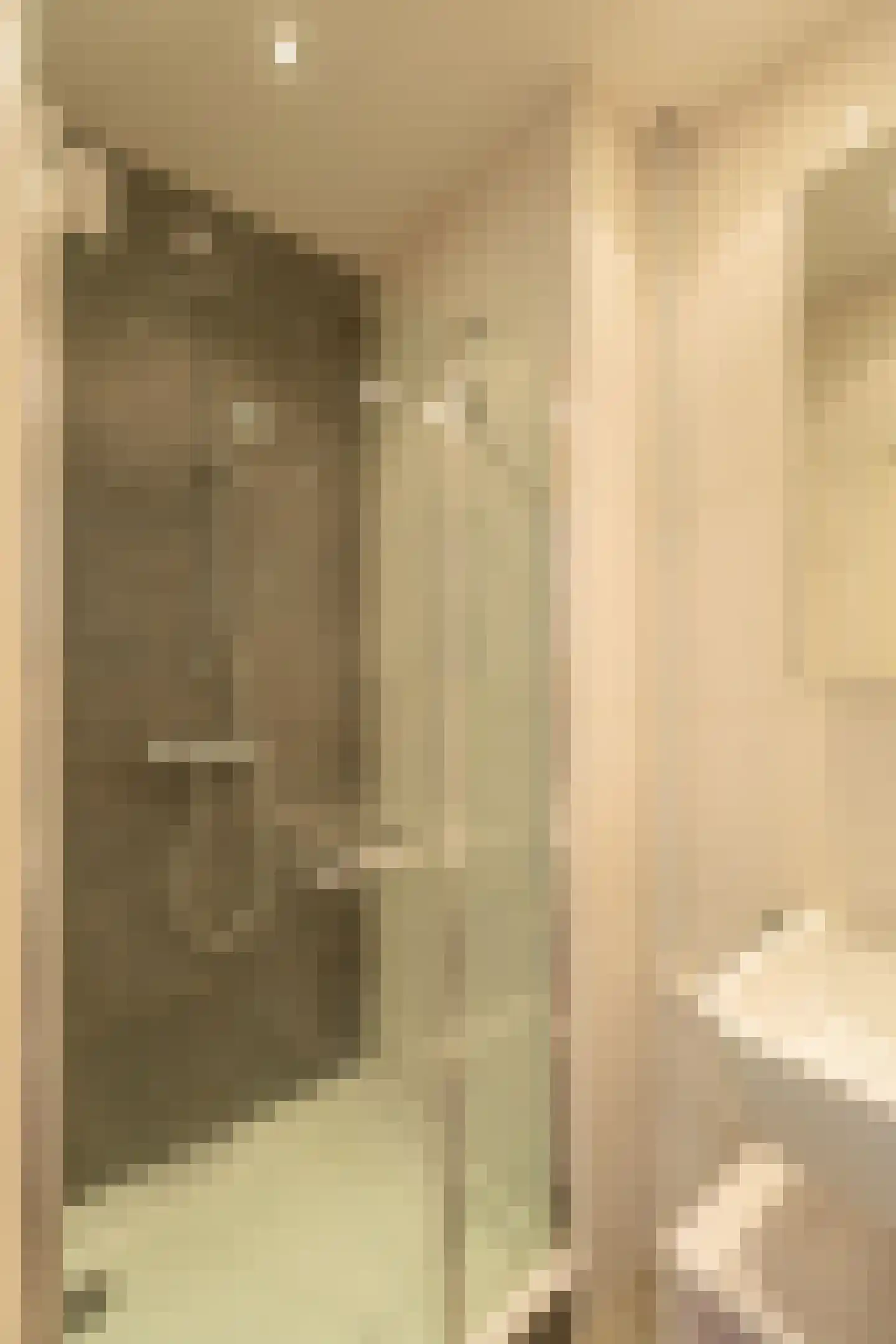 Lage Morsweg 15 Leiden thumbnail 22
