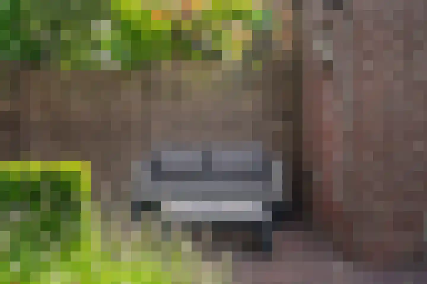 Lage Morsweg 15 Leiden thumbnail 25