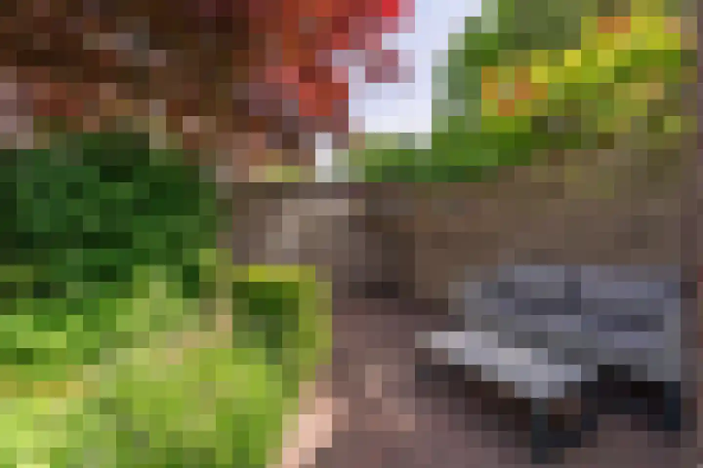 Lage Morsweg 15 Leiden thumbnail 27