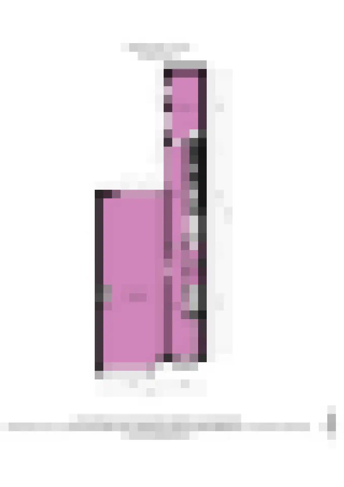 Lage Morsweg 15 Leiden thumbnail 32