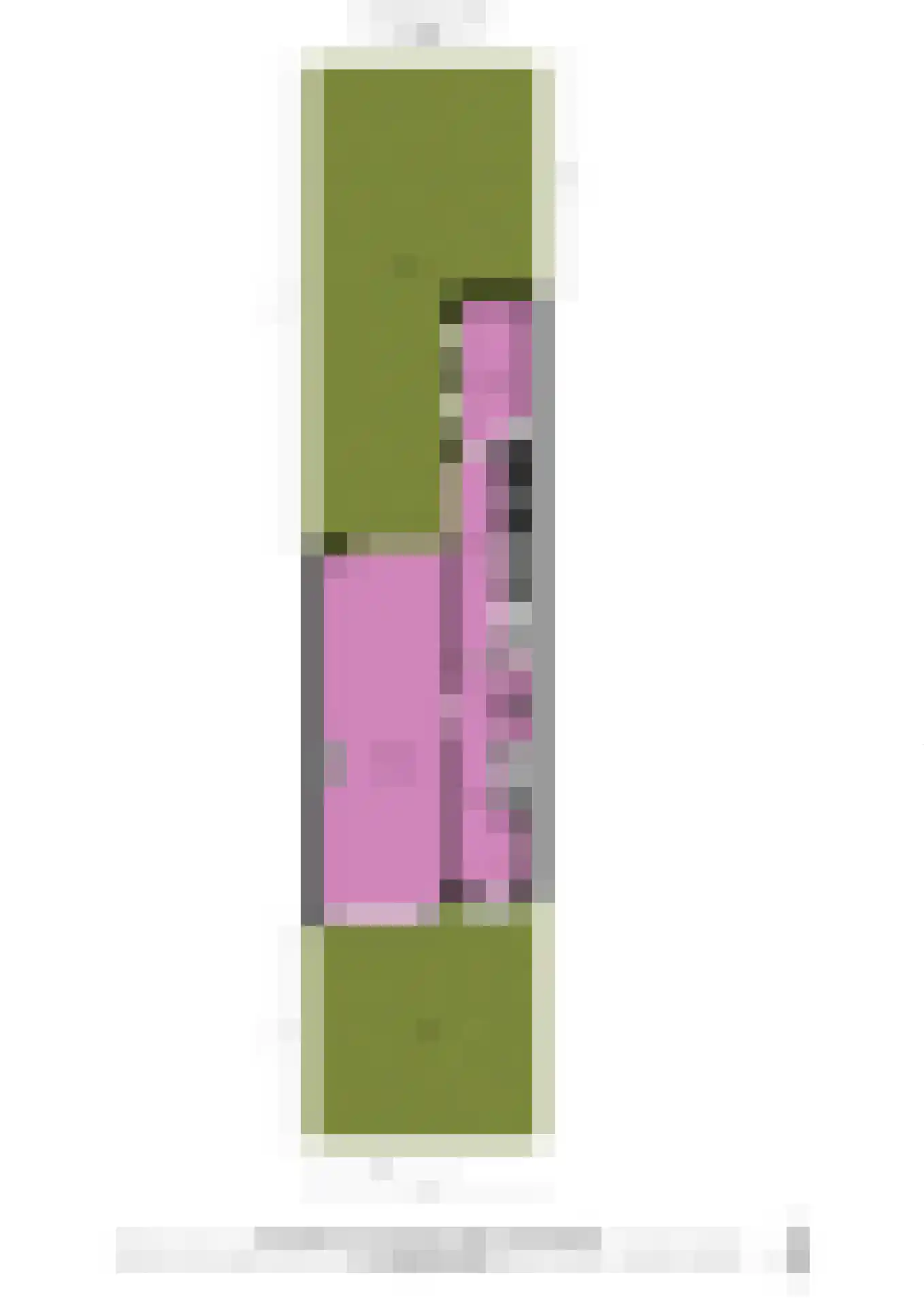 Lage Morsweg 15 Leiden thumbnail 34