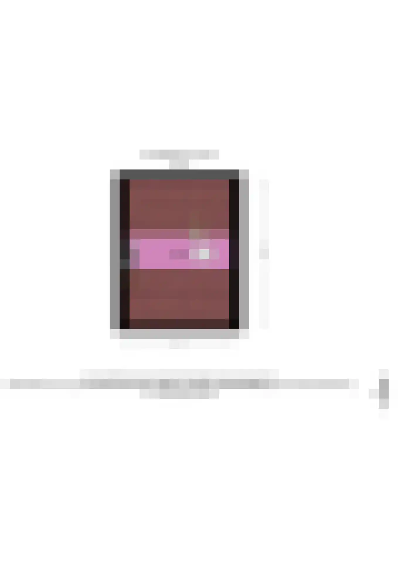 Lage Morsweg 15 Leiden thumbnail 35