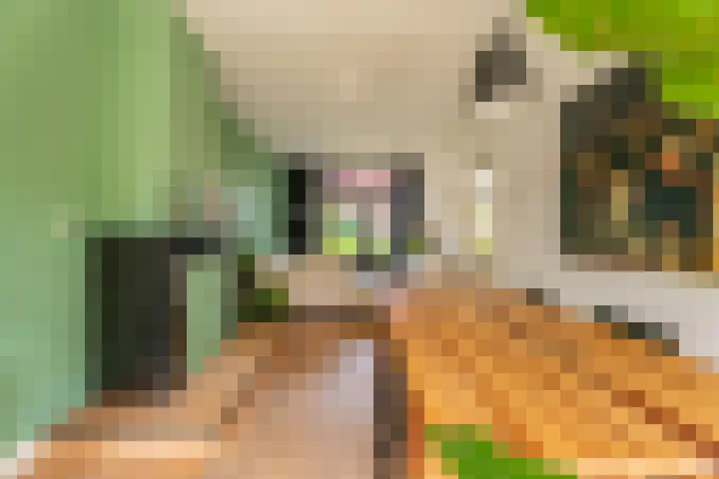 Lage Morsweg 15 Leiden thumbnail 8
