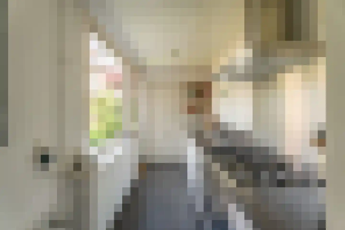 Lage Morsweg 15 Leiden thumbnail 9