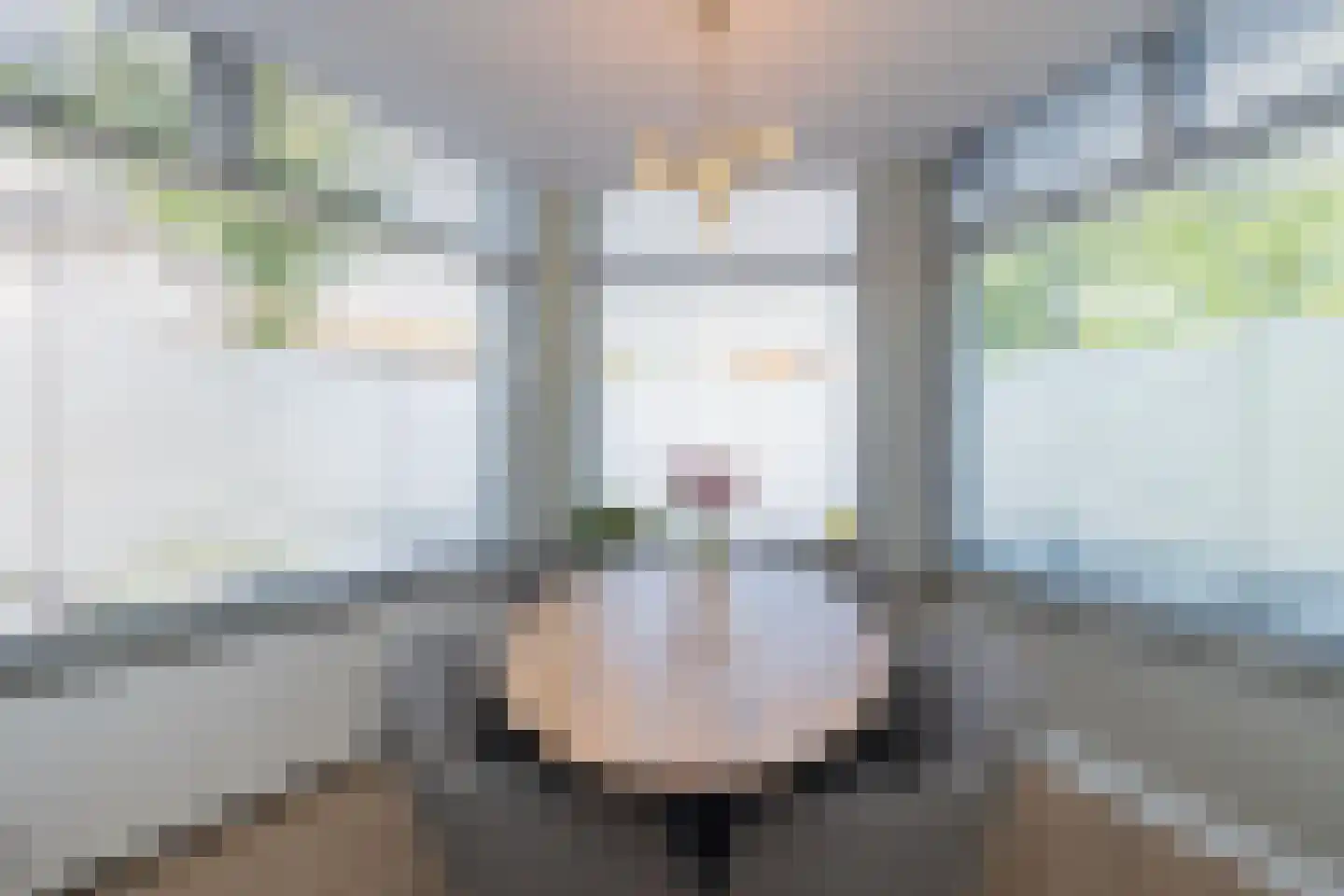 Lage Morsweg 23 Leiden thumbnail 10