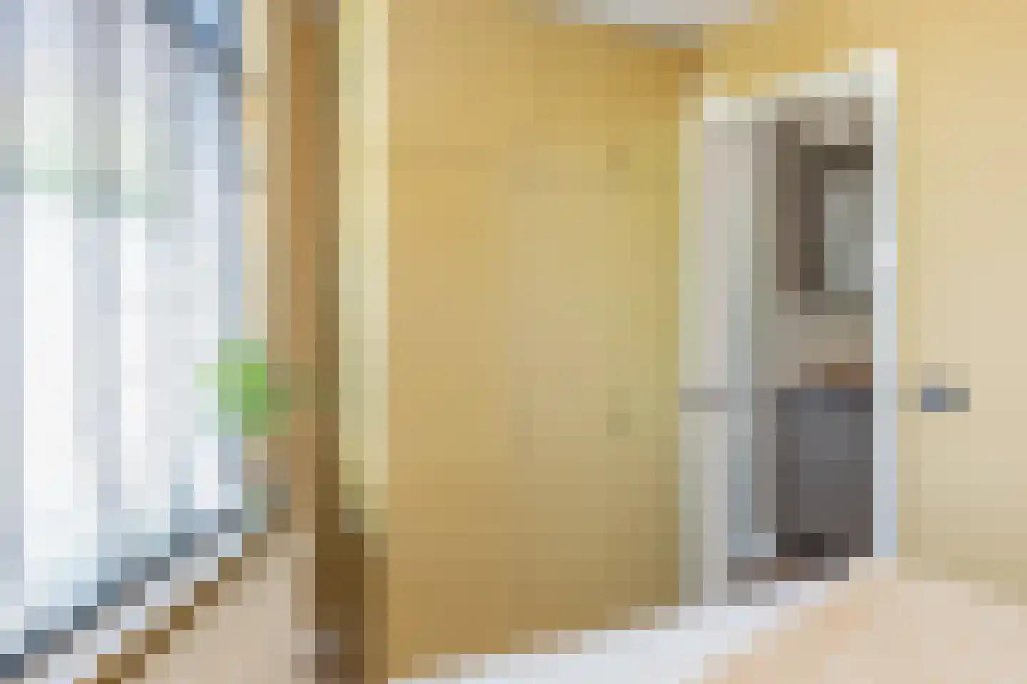 Lage Morsweg 23 Leiden thumbnail 14