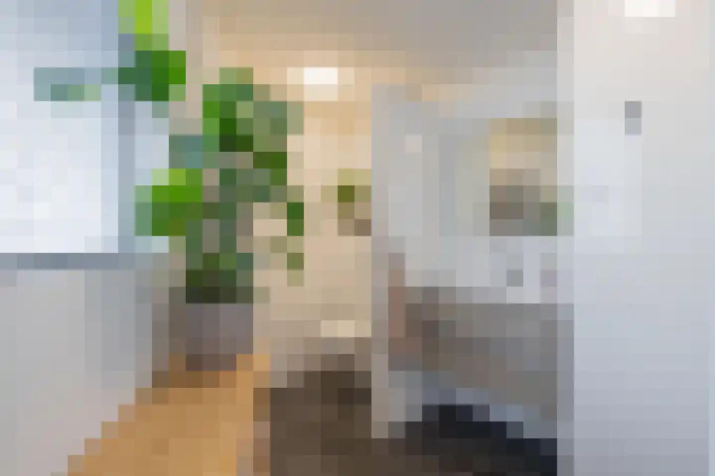 Lage Morsweg 23 Leiden thumbnail 15