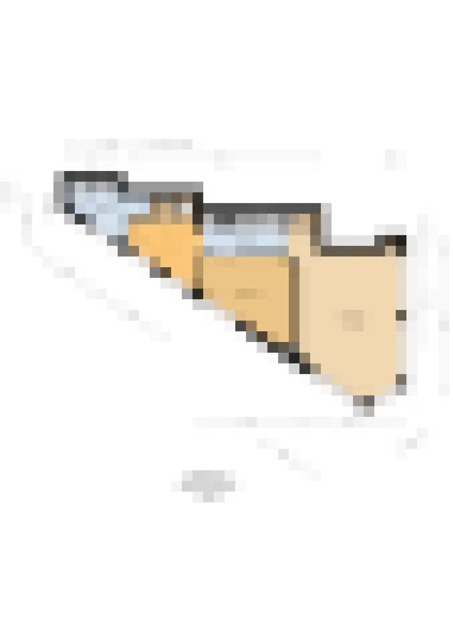 Lage Morsweg 23 Leiden thumbnail 18