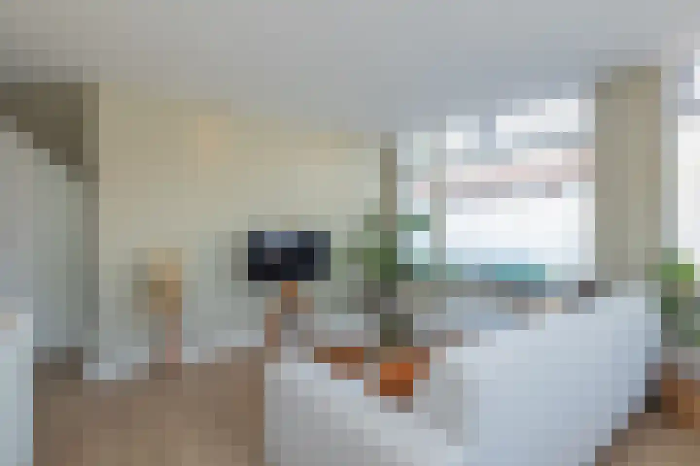 Lage Morsweg 23 Leiden thumbnail 9