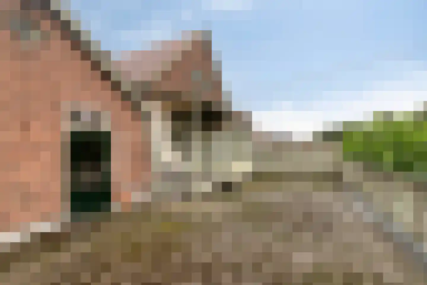 Lage Naarderweg 52 A Hilversum thumbnail 28