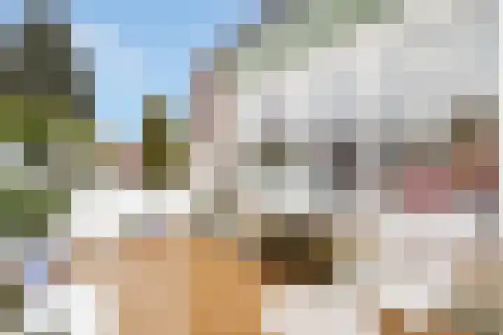 Lage Naarderweg 7 C Hilversum thumbnail 17