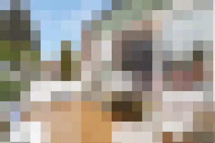 Lage Naarderweg 7 C Hilversum thumbnail 18