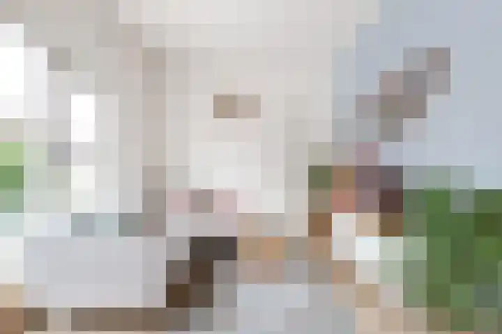 Lage Naarderweg 7 C Hilversum thumbnail 6