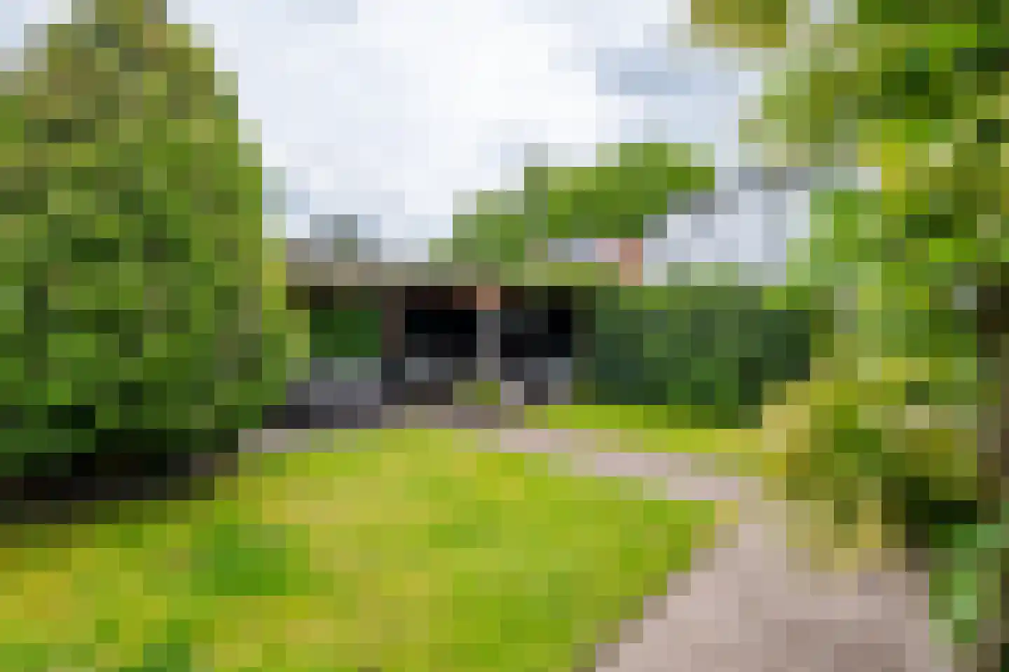 Lage Naarderweg 8 Hilversum thumbnail 27