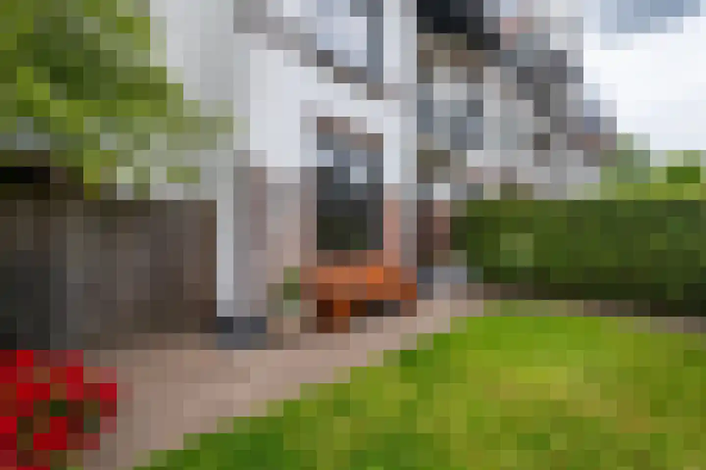 Lage Naarderweg 8 Hilversum thumbnail 35