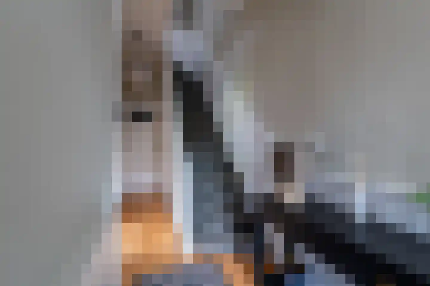 Lage Naarderweg 8 Hilversum thumbnail 36