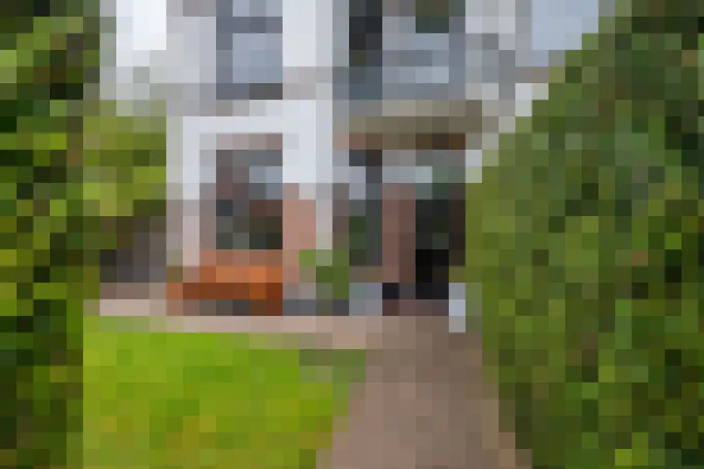 Lage Naarderweg 8 Hilversum thumbnail 6